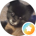Reviewer avatar