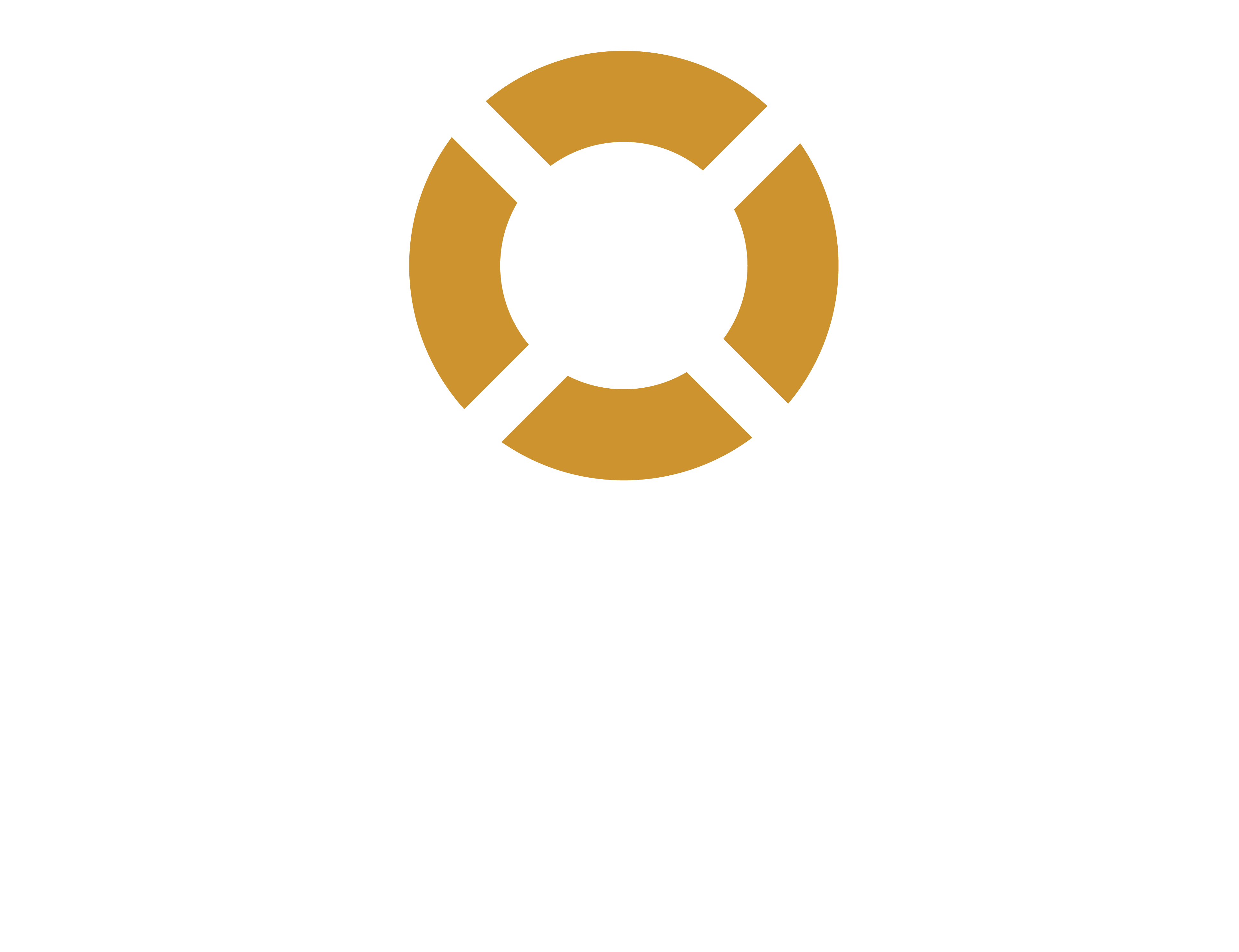 brandlogo