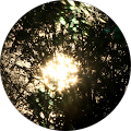 Reviewer avatar