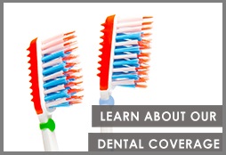 small_--_Learn_about_our_dental_coverage