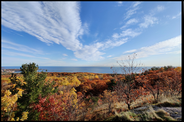 Fall
