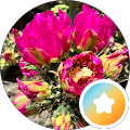 Reviewer avatar