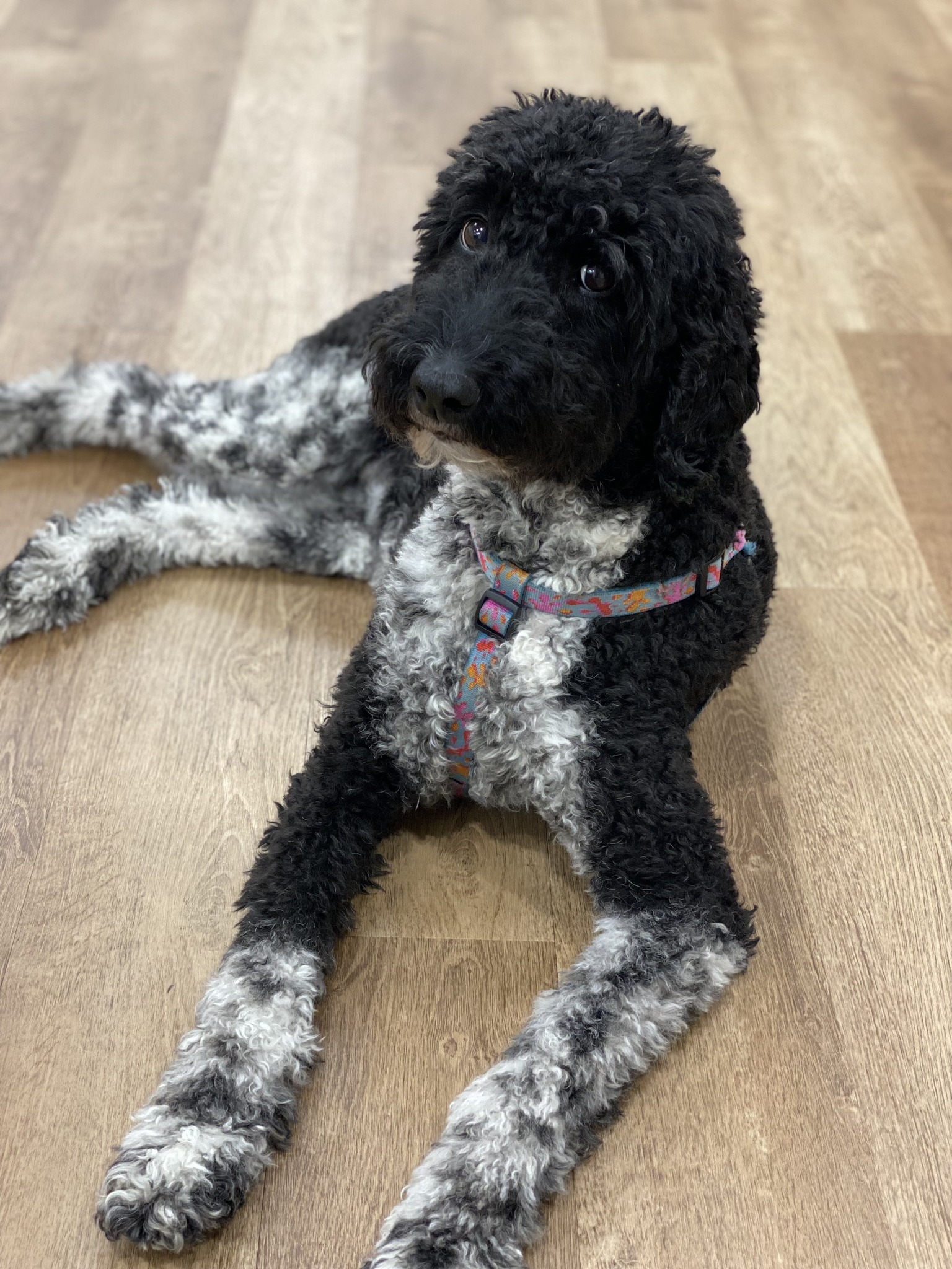 490126246_1188466426615251_2848407553847110765_n