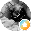 Reviewer avatar